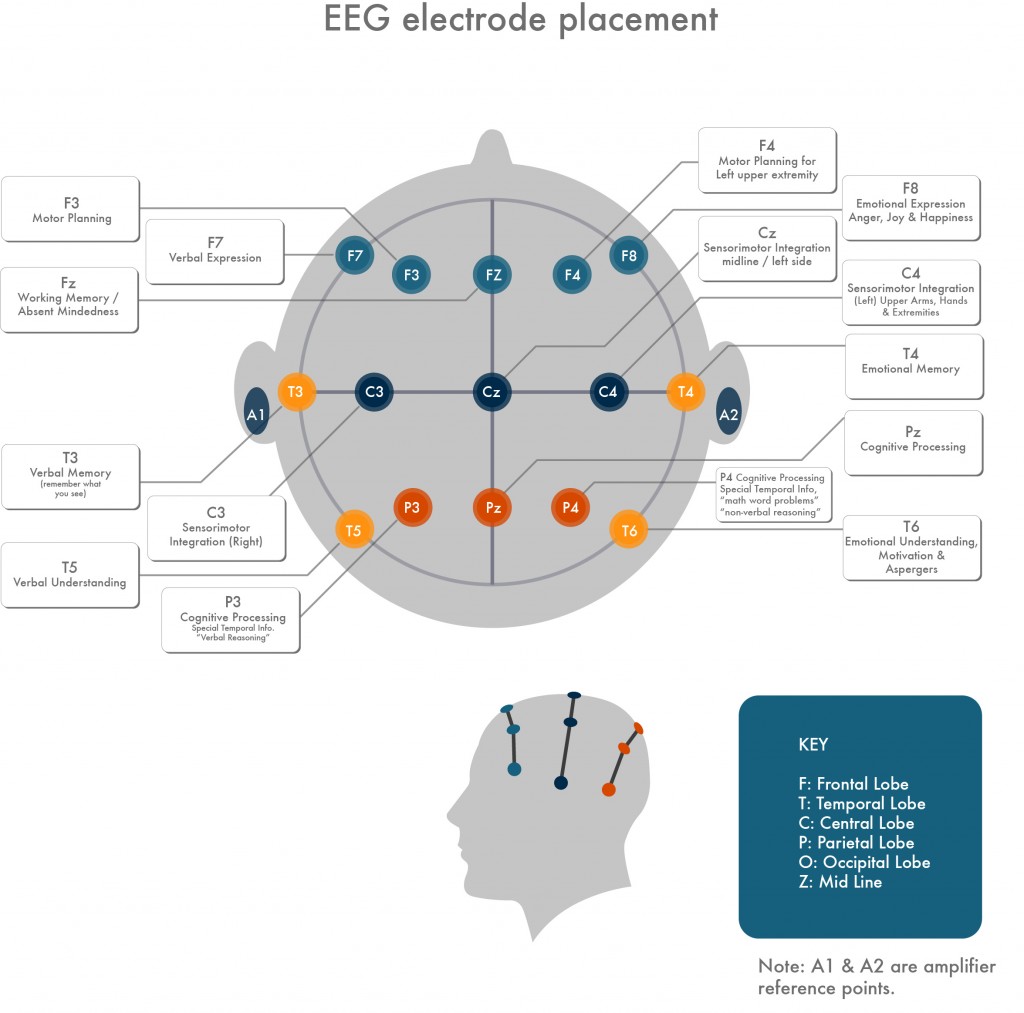 eeg_placement-labelled